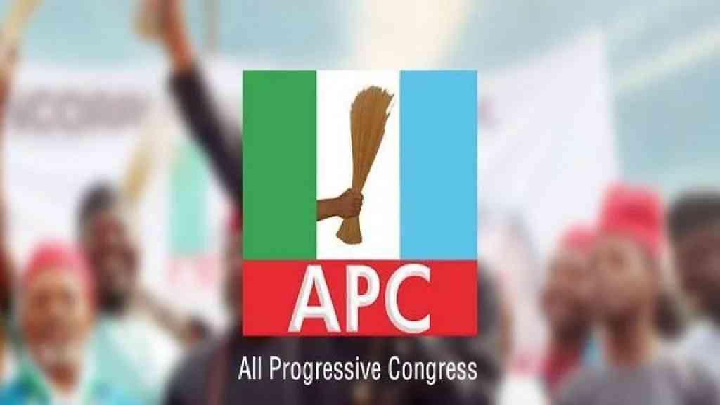 PEPC judgment based on facts not sentiments – APC chieftain - MirrorLog