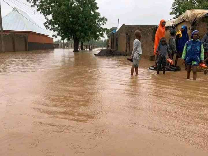 Seven Yobe LGs to be severely flooded in 10 days - MirrorLog