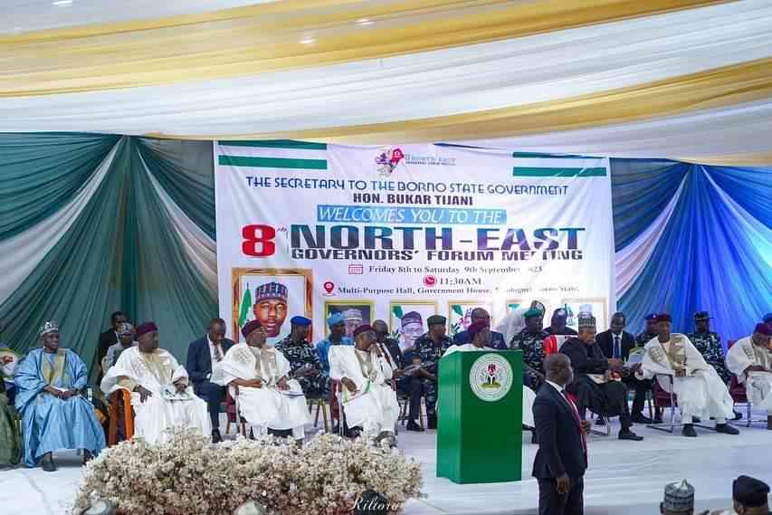 Northeast governors raise the alarm over illegal mining - MirrorLog