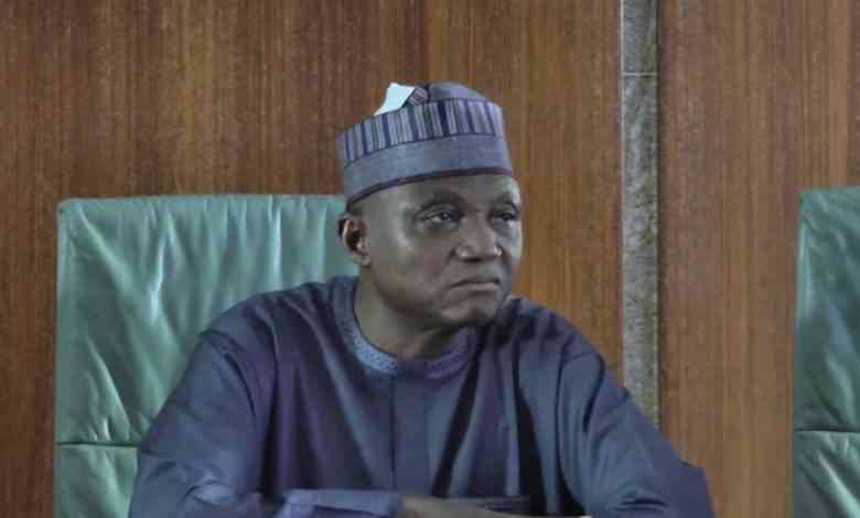 5 Reasons Buhari Didn’t Remove Fuel Subsidy – Garba Shehu - MirrorLog