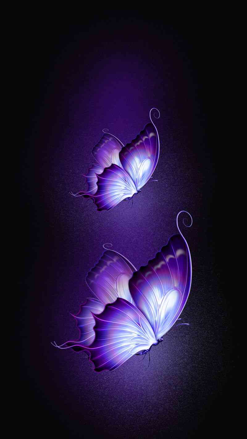 #Butterfly #wallpaper - MirrorLog