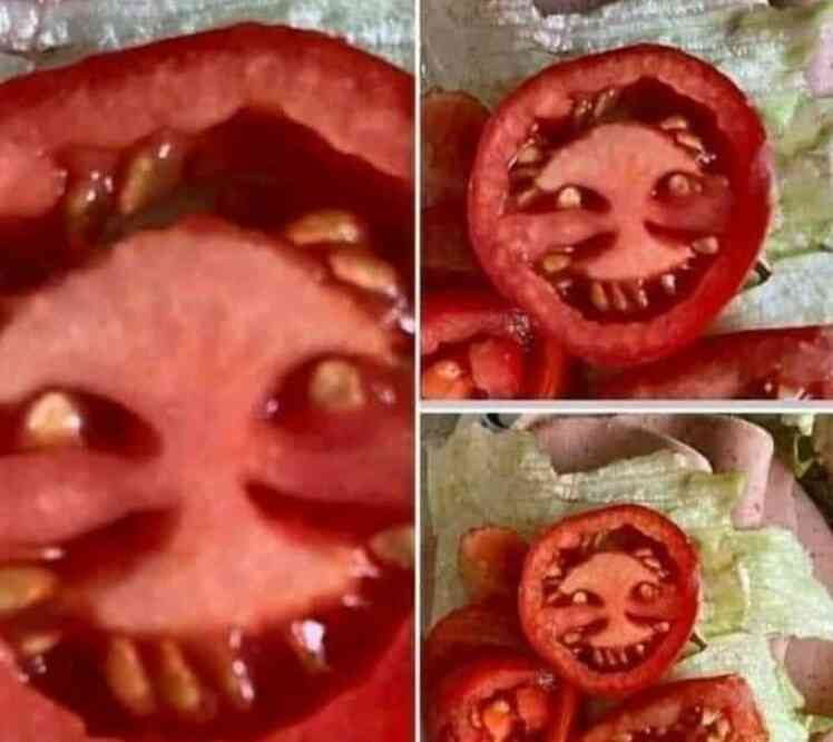 Imagine having a scary nightmare because of the tomatoes ? you ate last night ?? | MirrorLog