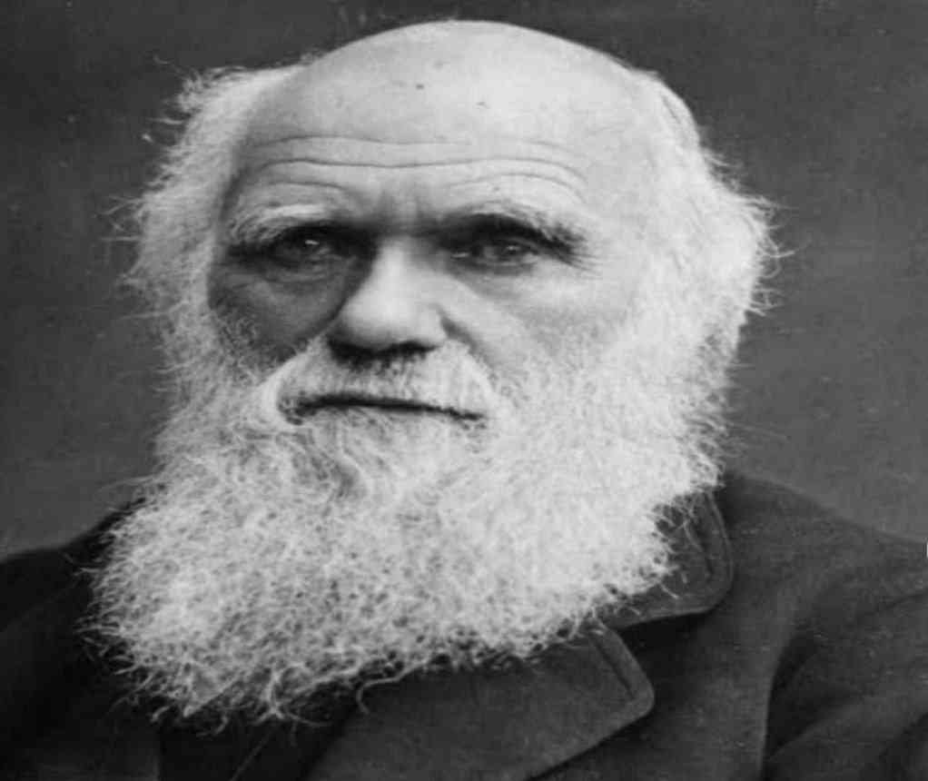 Did you know that Charles Darwin ate every animal he discovered. - MirrorLog