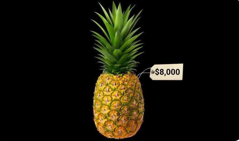 In the 1700s, pineapples cost $8,000 (in today's dollars). People used to rent pineapples to show off to guests. - MirrorLog