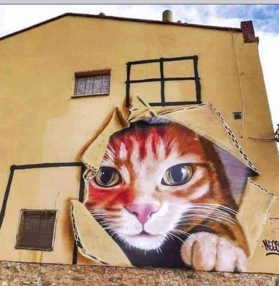 Cat Art #d.p - MirrorLog