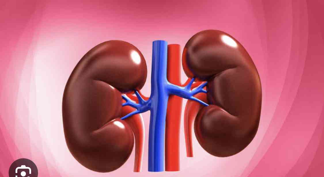 How to keep the kidneys healthy - MirrorLog