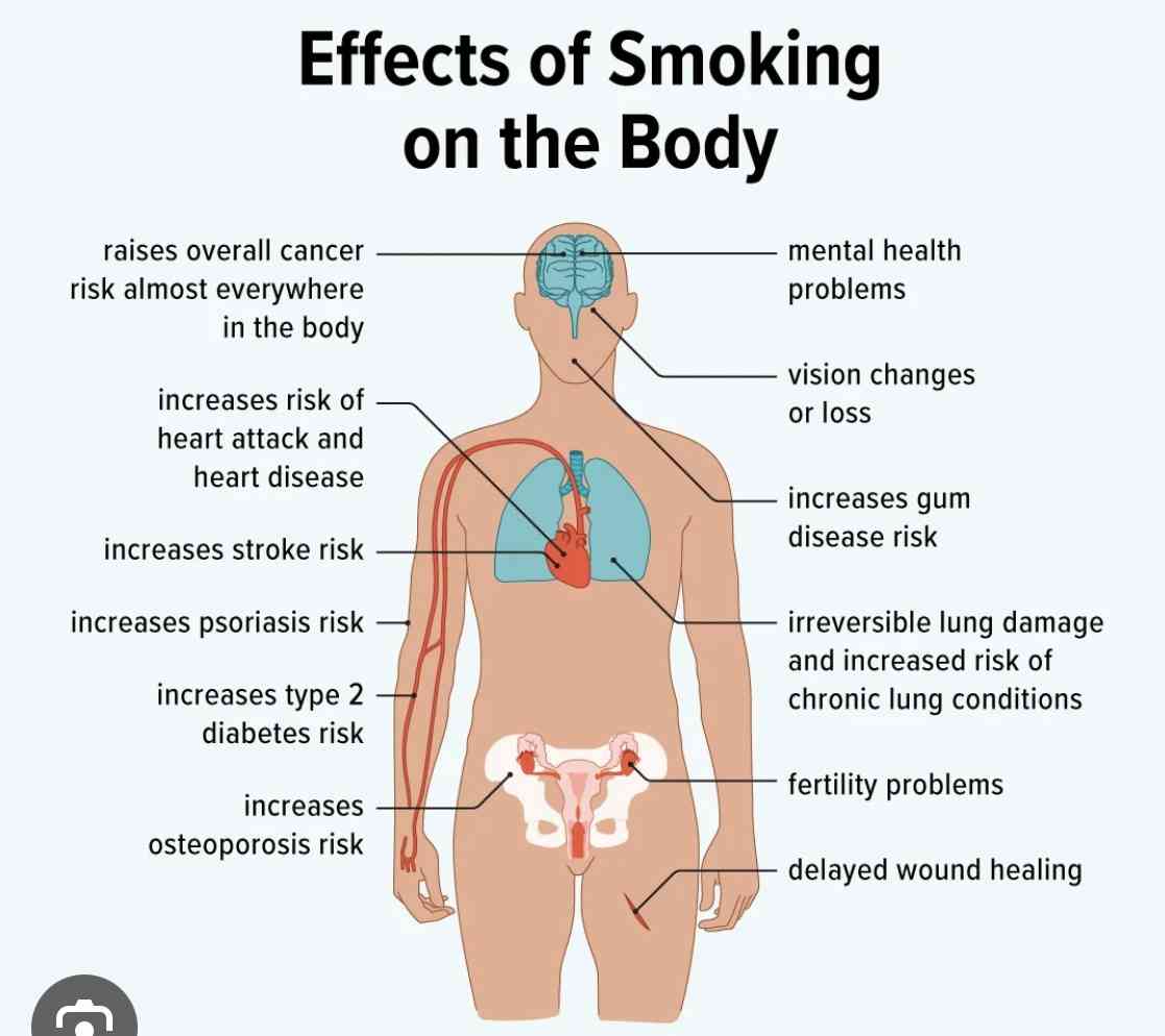 Effect of smoking on the body - MirrorLog