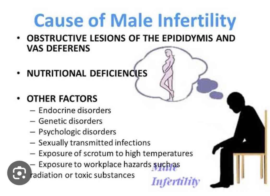 CAUSES OF INFERTILITY IN MALE | MirrorLog