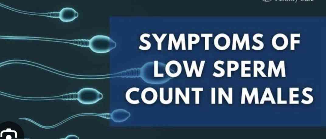 Symptoms of low sperm count - MirrorLog