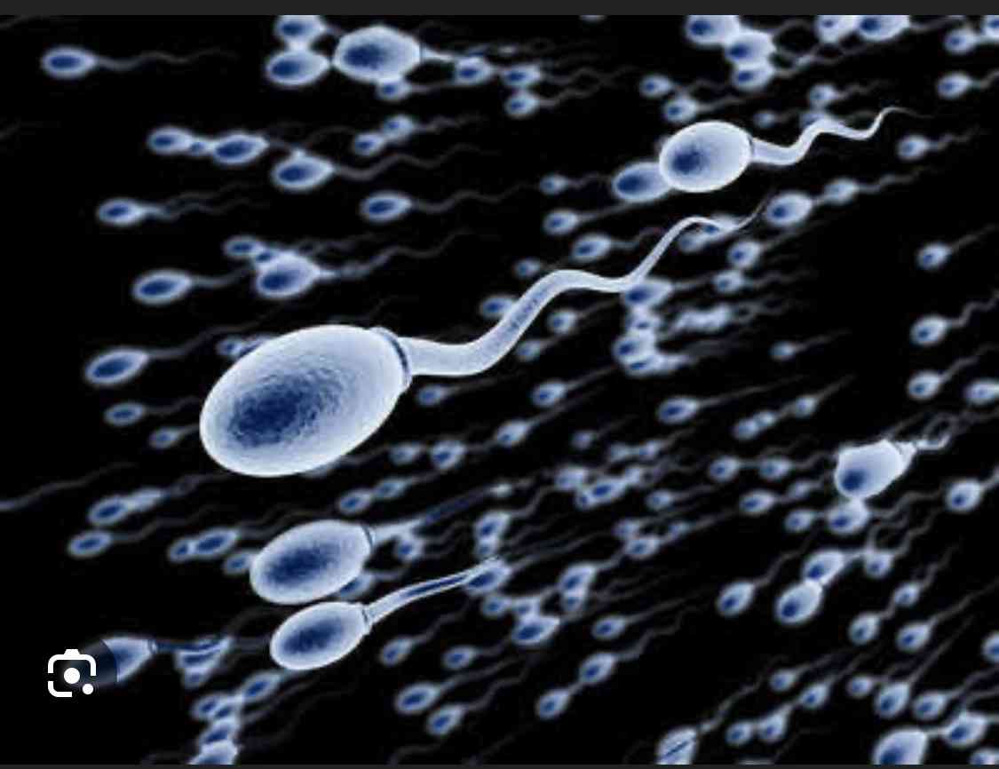 Medical causes of low sperm count - MirrorLog