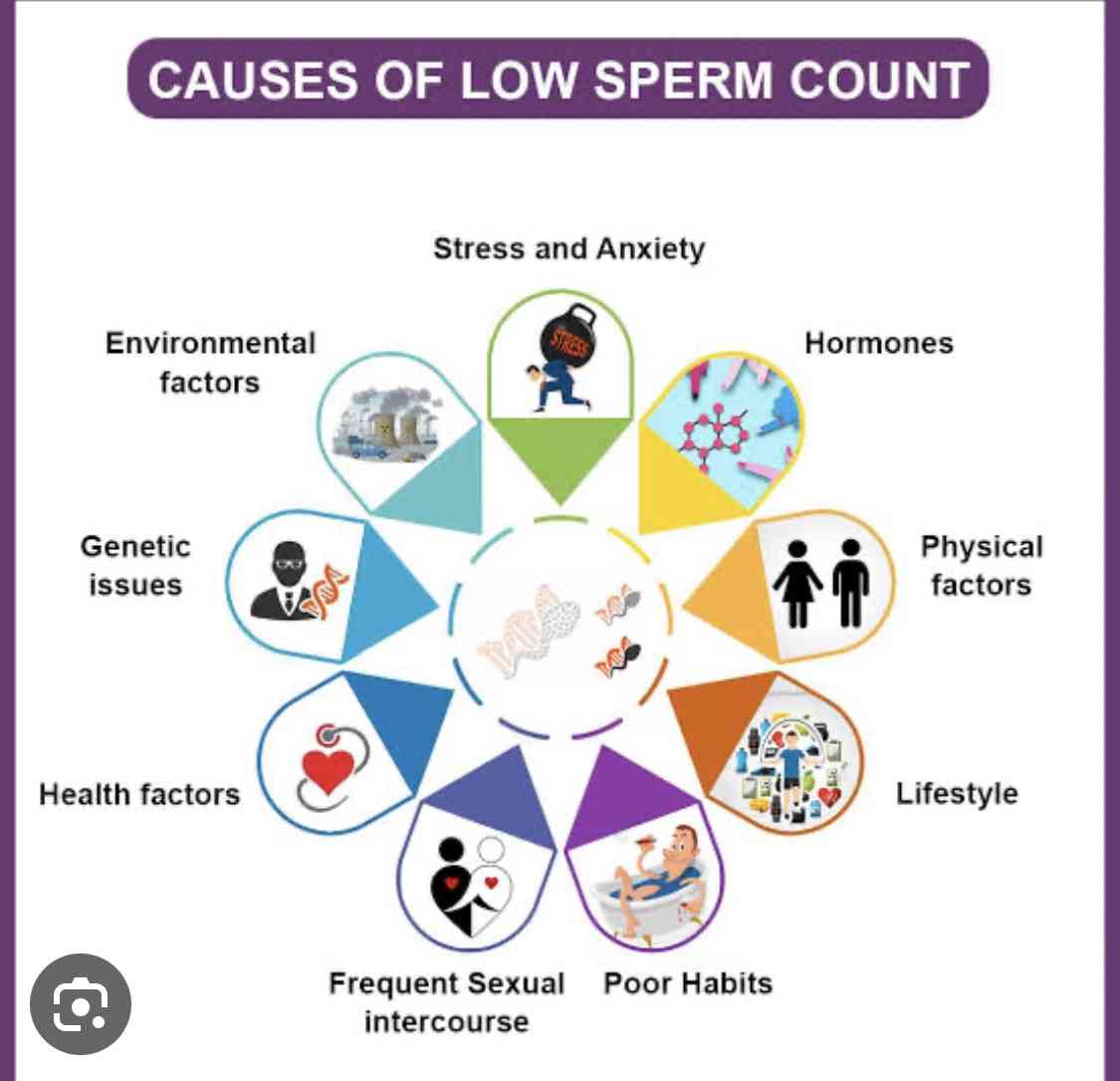 Environmental causes of low sperm count. - MirrorLog