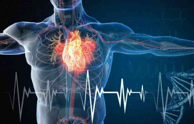 Prevention of heart attacks - MirrorLog