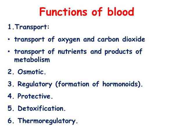 Function of blood | MirrorLog