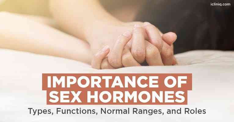 Important of sex hormones - MirrorLog