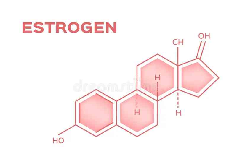 Estrogen one of the type of female hormones - MirrorLog