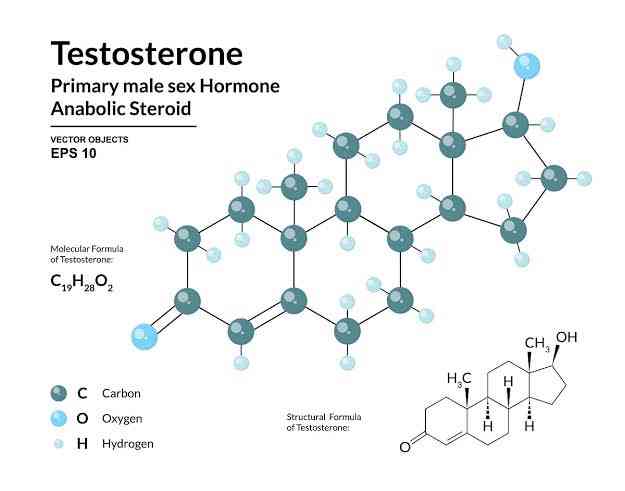 What is Testosterone - MirrorLog