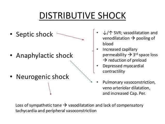 There are a number of types of distributive shock, including the following: - MirrorLog