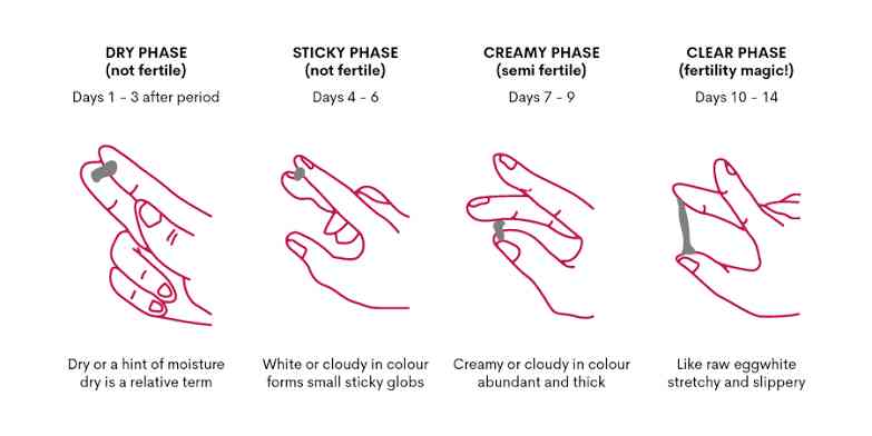 Normal Vaginal Discharge - MirrorLog