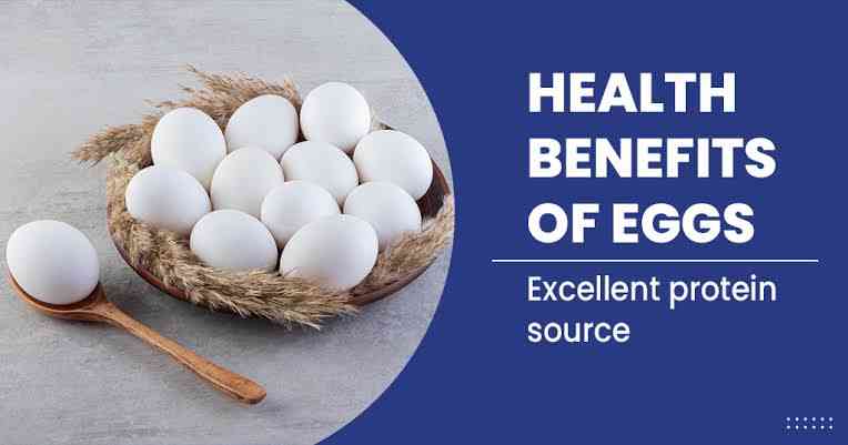 Egg benefit in body - MirrorLog