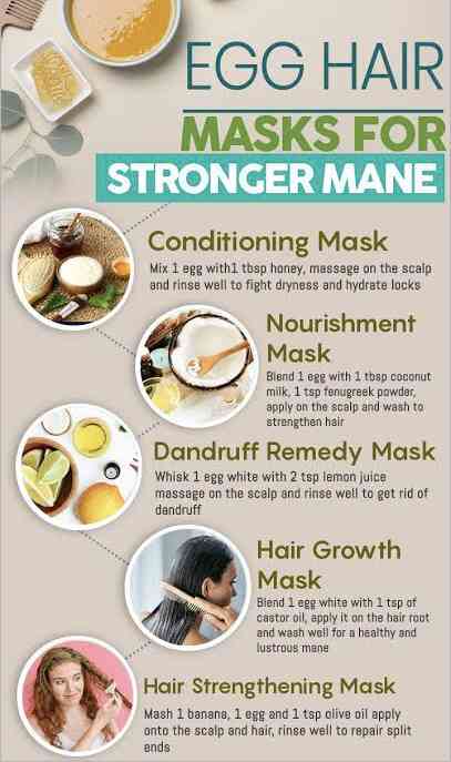 Health benefits of Egg on hair - MirrorLog