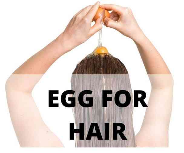 Egg protein and hair. - MirrorLog