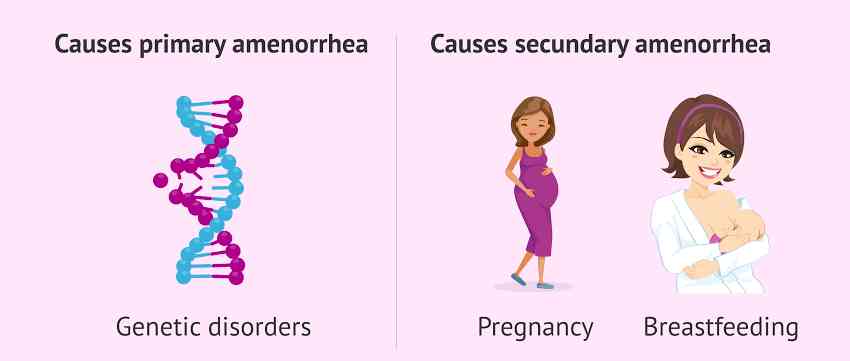 Causes of Amenorrhea - MirrorLog