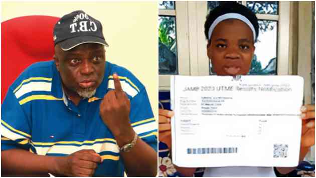 JAMB Lambasts Nigerians Supporting Mmesoma - MirrorLog