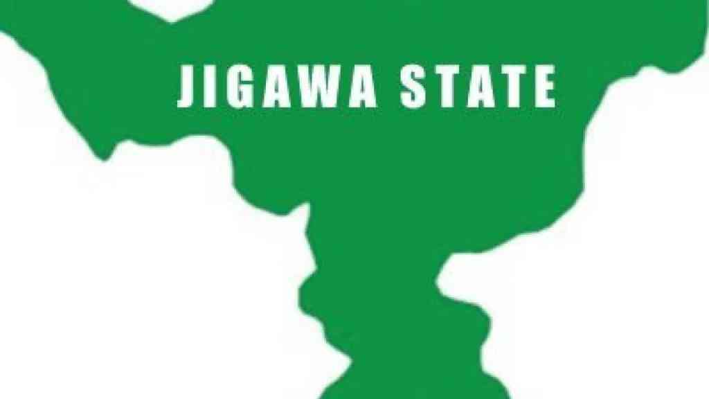 A newborn baby was found abandoned in a farm in Jigawa State - MirrorLog