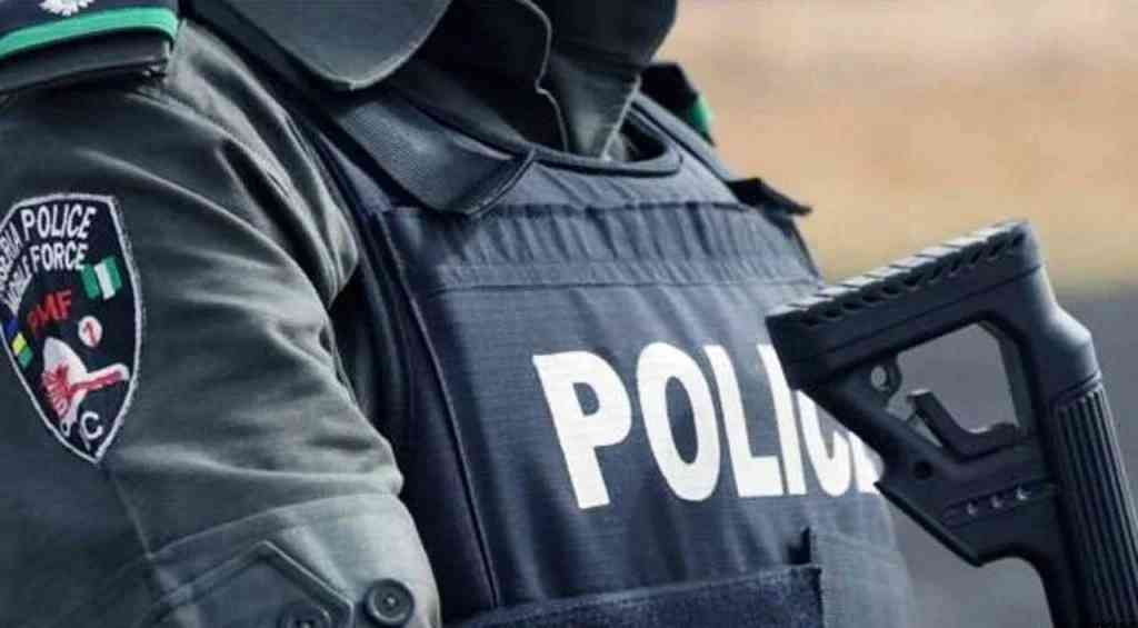 Police foil attempt to steal fuel from NNPC pipeline - MirrorLog