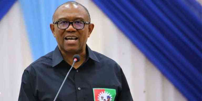 Association With Atiku And Kwankwaso Will Destroy You – Ohanaeze To Peter Obi - MirrorLog