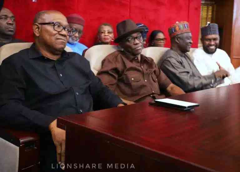 Peter Obi Speaks After INEC Rejected Documents Presented In Court - MirrorLog