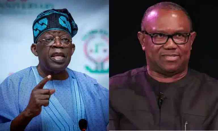 Tinubu Is Copying Peter Obi’s Planned Policies – Labour Party Campaign Member, Chris Nwokobia - MirrorLog