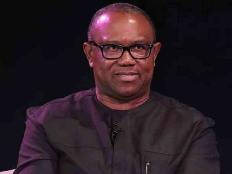 Peter Obi’s petition against Tinubu incompetent, defective beyond repair - MirrorLog