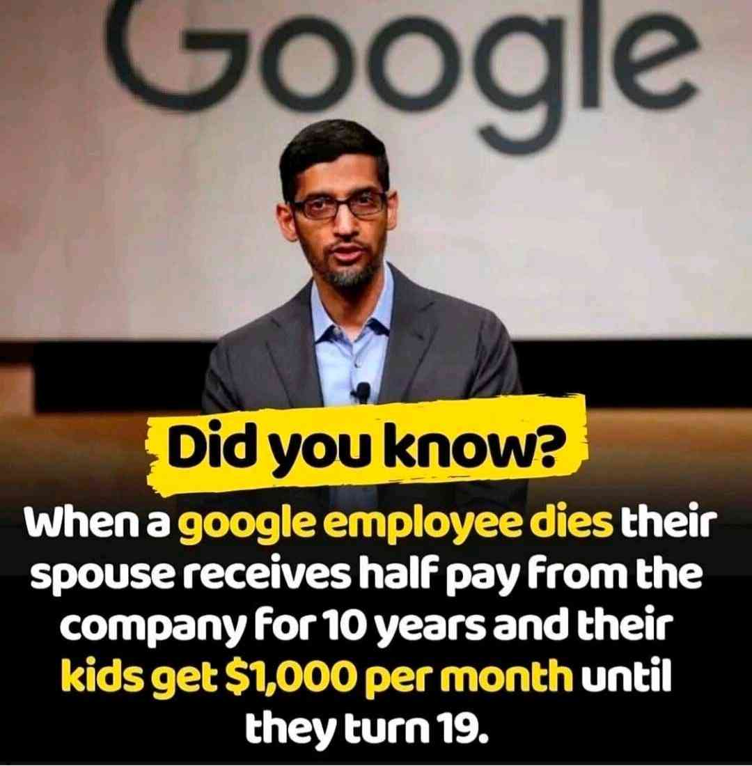 Did you know?? - MirrorLog