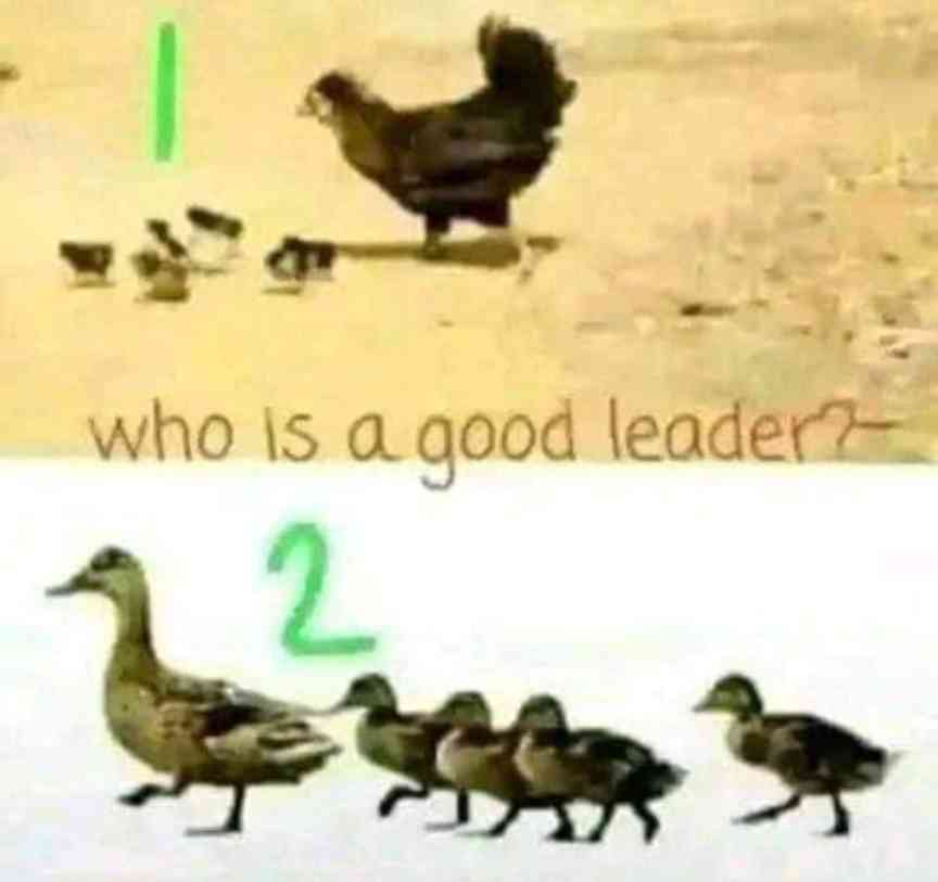 Who do you think is a good leader? (Answer in the comment) - MirrorLog