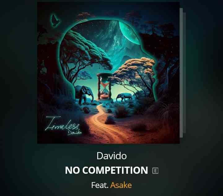 Davido : NO COMPETITION - MirrorLog