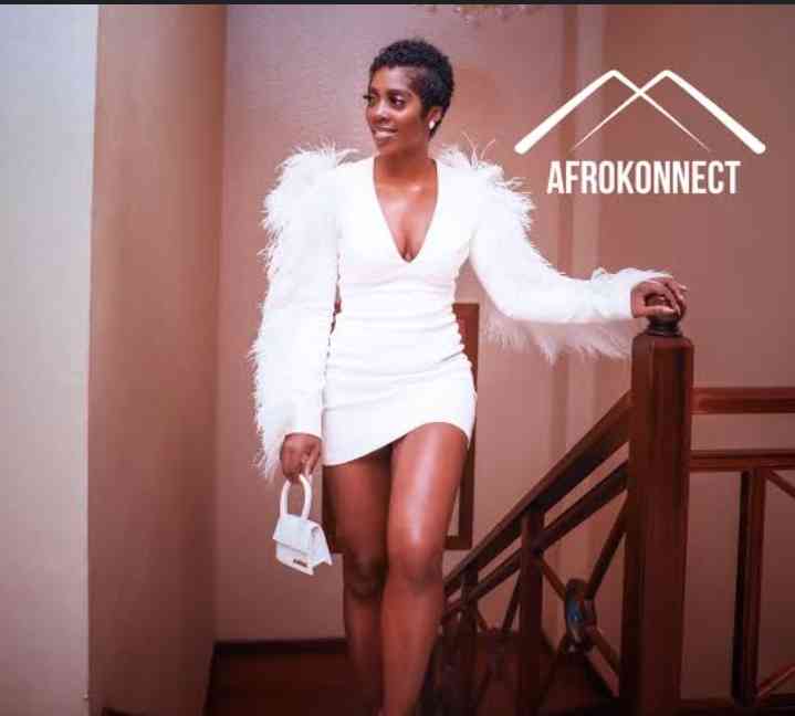 Nigeria celebrity singer TIWA SAVAGE 2023 net worth - MirrorLog