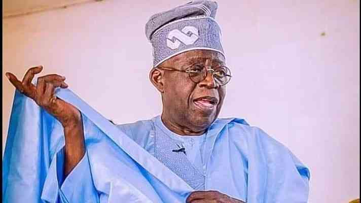 Nigerian is not too hard to manage -president Tinubu - MirrorLog