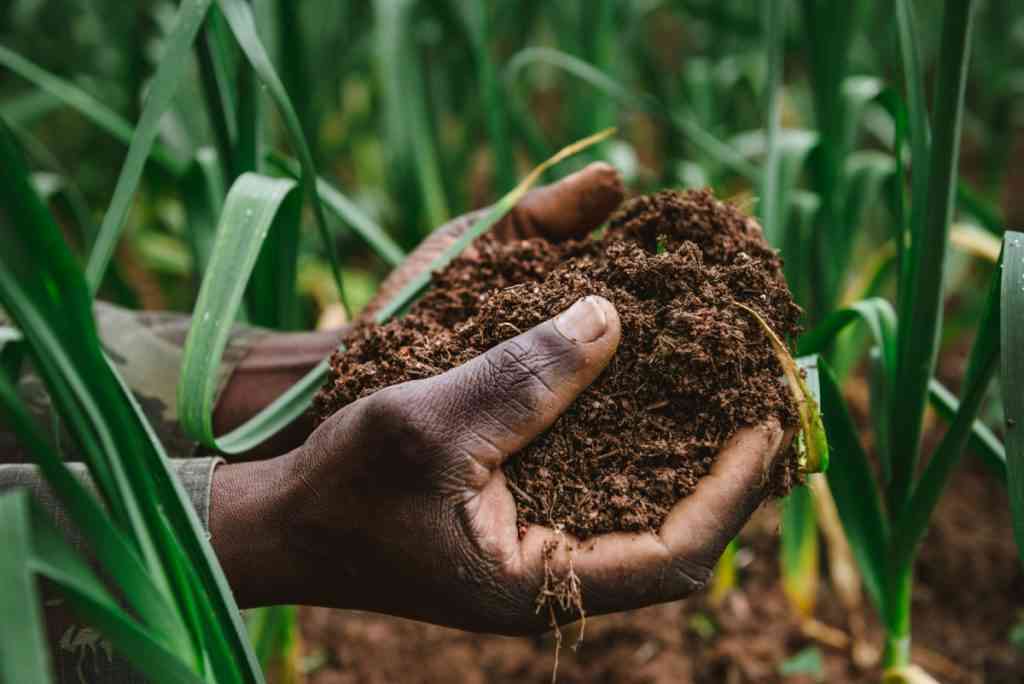 Professor Gabriel Akinboye called on the Nigerian government  to develop a national soil information system - MirrorLog