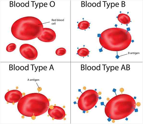 Scientists still don't know why we have blood types. 🤷🏽‍♂️ - MirrorLog