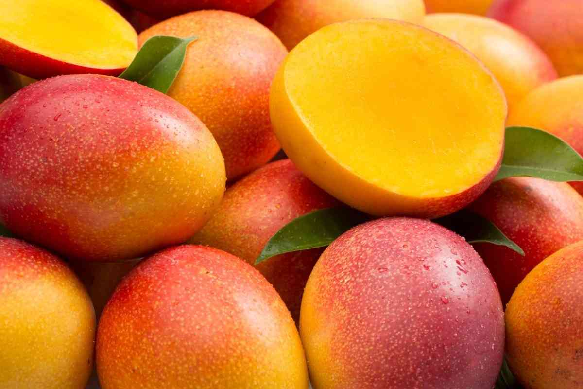 Mango, which is the most popular fruit in the world, helps prevent cancer, clears skin and lowers cholesterol. - MirrorLog