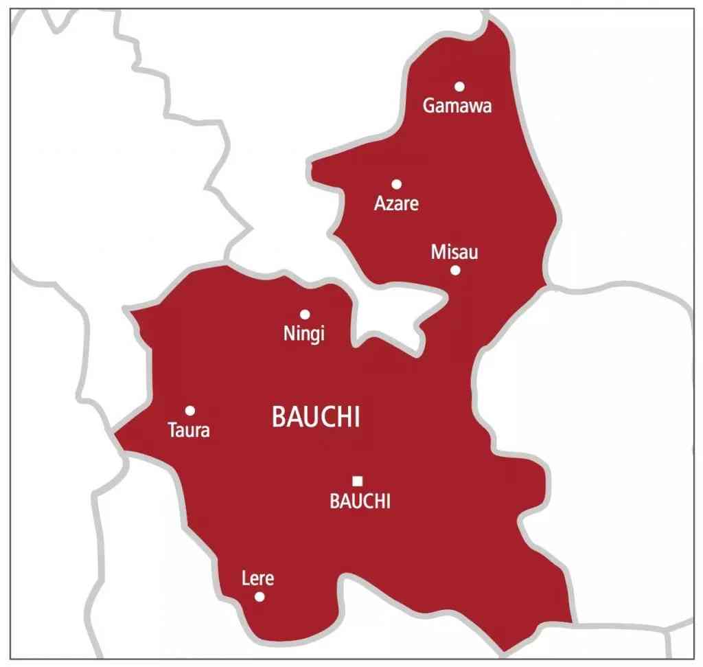 Over 500 case of SGBV recorded in Bauchi - MirrorLog