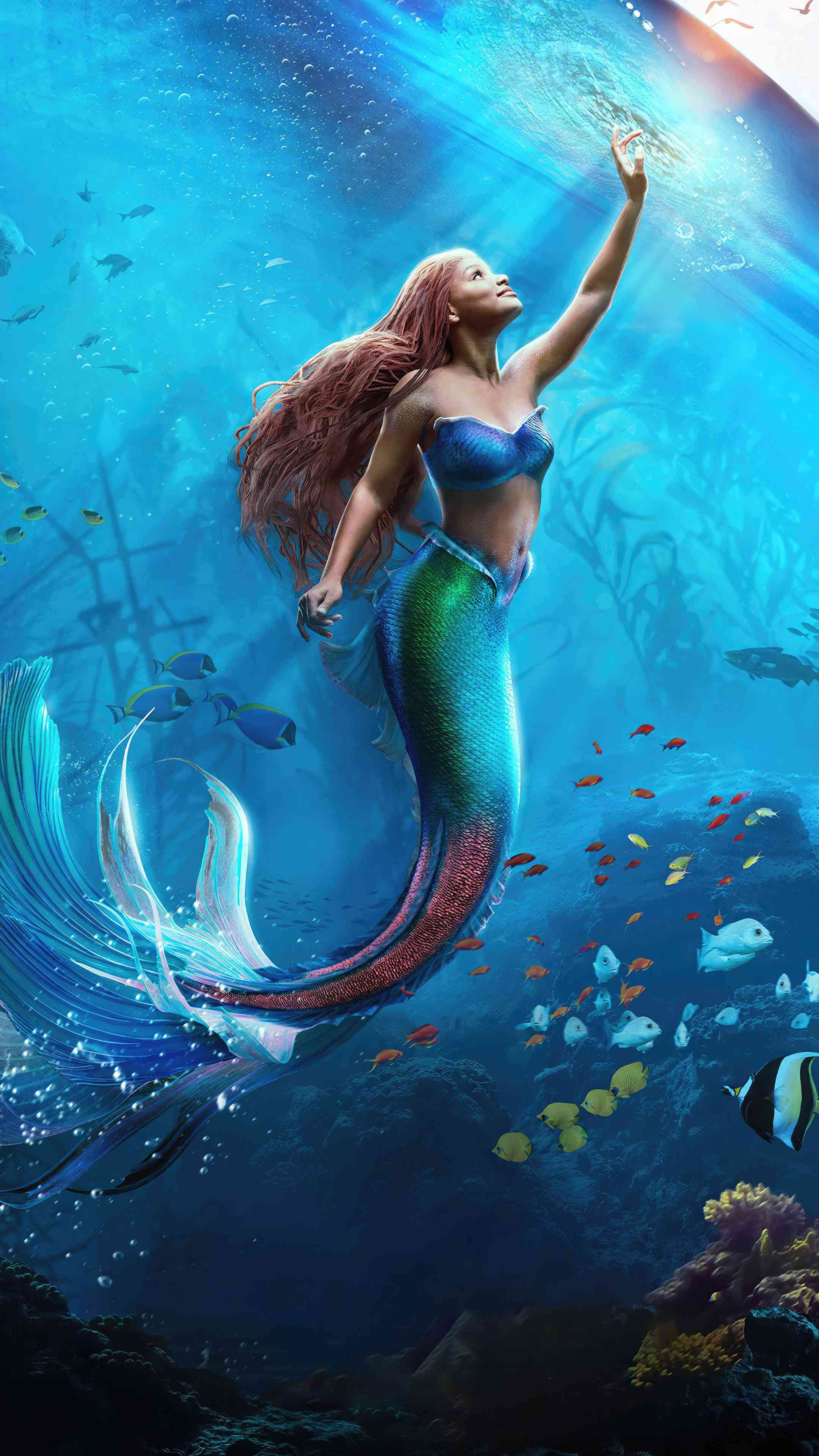 Little mermaid wallpaper - MirrorLog