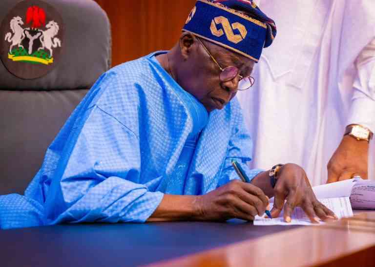 President Tinubu Scraps Ministry Of Niger Delta Affairs - MirrorLog