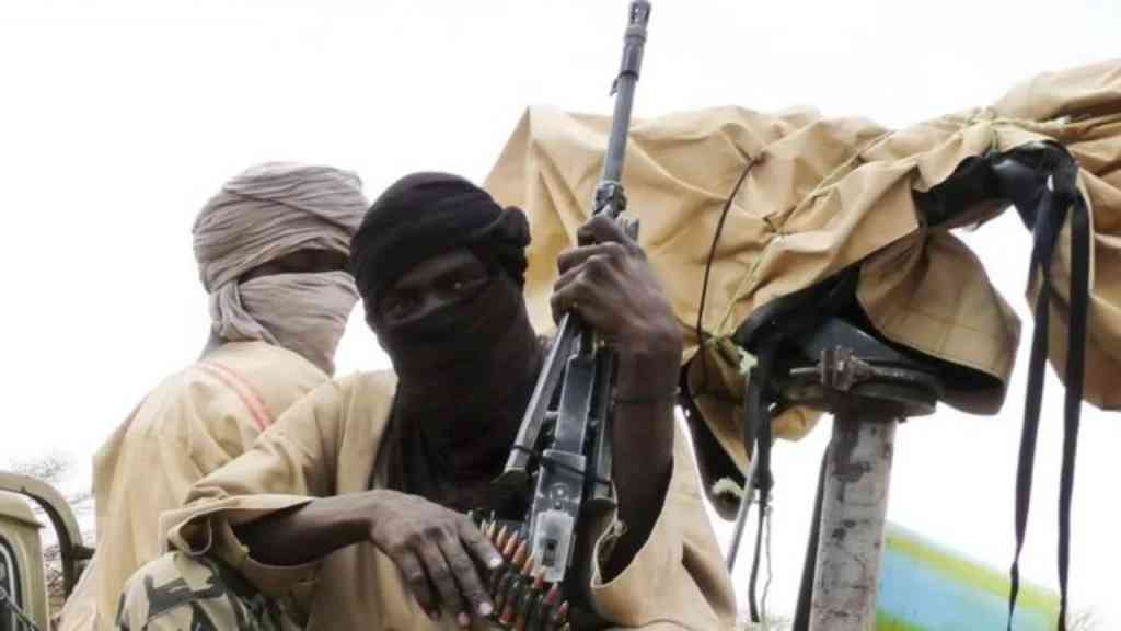 Gunmen abduct another housewife in Jalingo - MirrorLog